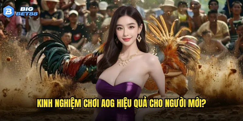 Kinh nghiệm chơi AOG hiệu quả cho người mới?