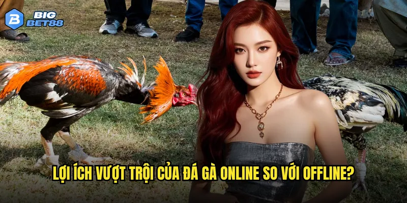 Lợi ích vượt trội của đá gà online so với offline?